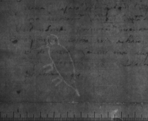 Письмо Б.Р. Строцци; 1491 г.; Архив СПбИИ РАН. ЗЕС. Колл. 1. Карт. 70. № 23.