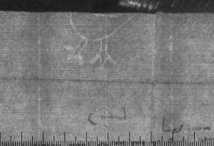 Письмо Дж. П. Малакада; 1487 г.; Архив СПбИИ РАН. ЗЕС. Колл. 1. Карт. 34. № 16. Письмо Дж. П. Малакада; 1487 г.; Архив СПбИИ РАН. ЗЕС. Колл. 1. Карт. 34. № 16.