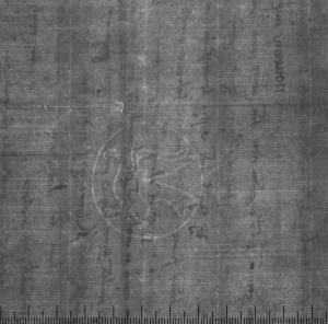 Жалоба в канцелярию; 1498 г.; Архив СПбИИ РАН. ЗЕС. Колл. 4. Карт. 158. № 29.