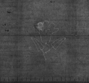 Письмо Томмазо Пизоно; 1471 г.; Архив СПбИИ РАН. ЗЕС. Колл. 1. Карт. 80. № 53. Письмо Томмазо Пизоно; 1471 г.; Архив СПбИИ РАН. ЗЕС. Колл. 1. Карт. 80. № 53.