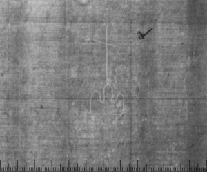 Письмо А. Бентивольо; 1485 г.; Архив СПбИИ РАН. ЗЕС. Колл. 1. Карт. 37. № 2. Письмо А. Бентивольо; 1485 г.; Архив СПбИИ РАН. ЗЕС. Колл. 1. Карт. 37. № 2.