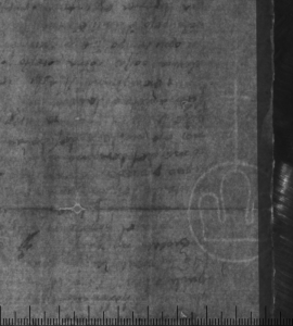 Копия бреве Сикста IV; XV в.; Архив СПбИИ РАН. ЗЕС. Колл. 5. Карт. 183. № 11.