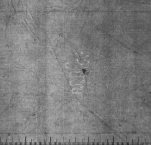 Письмо Bart holomeus Chalcus к L . M .Sforza Письмо Bart holomeus Chalcus к L . M .Sforza